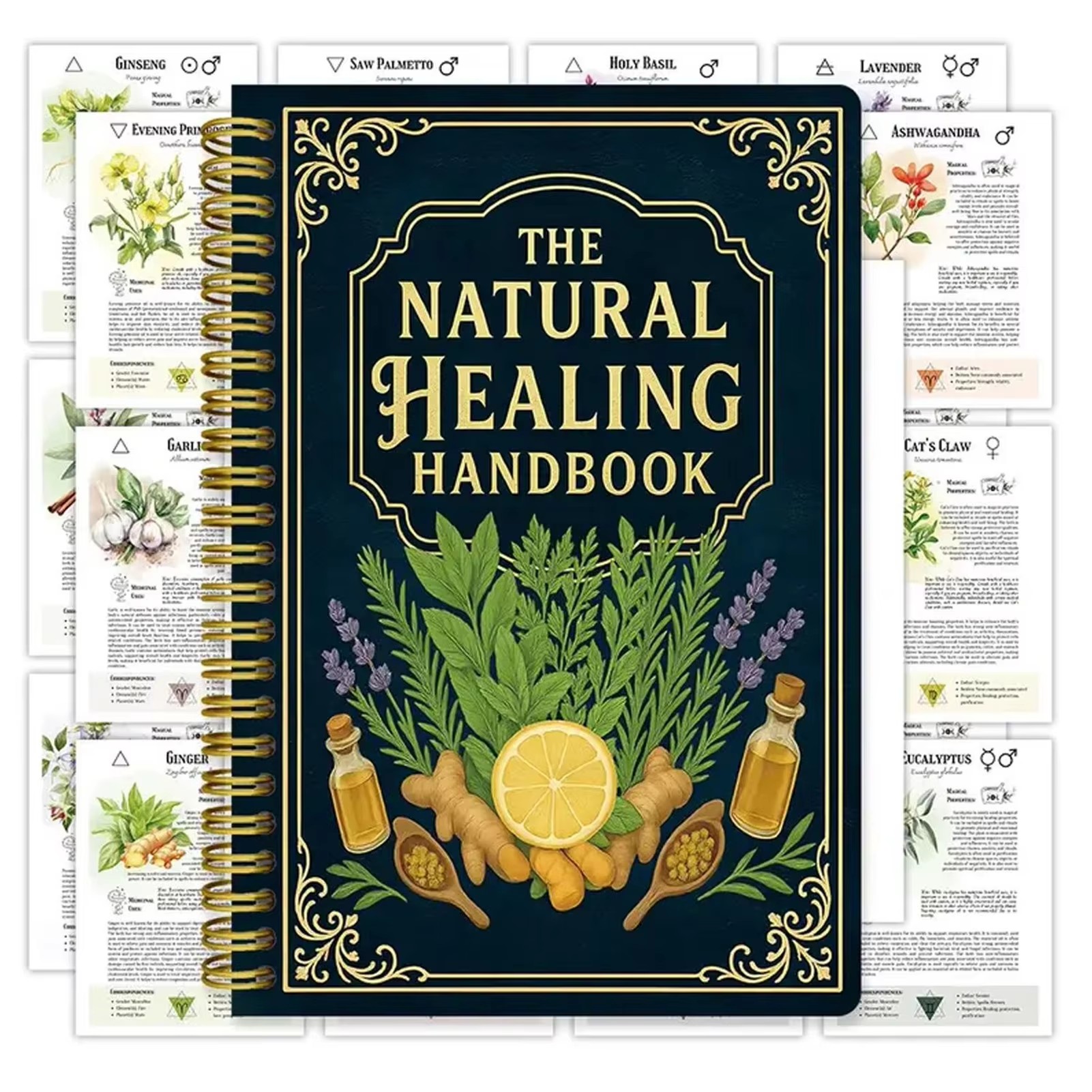 Health & Wellness Utsg - Healing Handbook By Luna Filby English